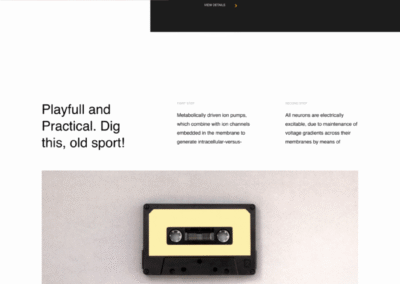 Photography Portfolio That Showcases Style & Professionalism